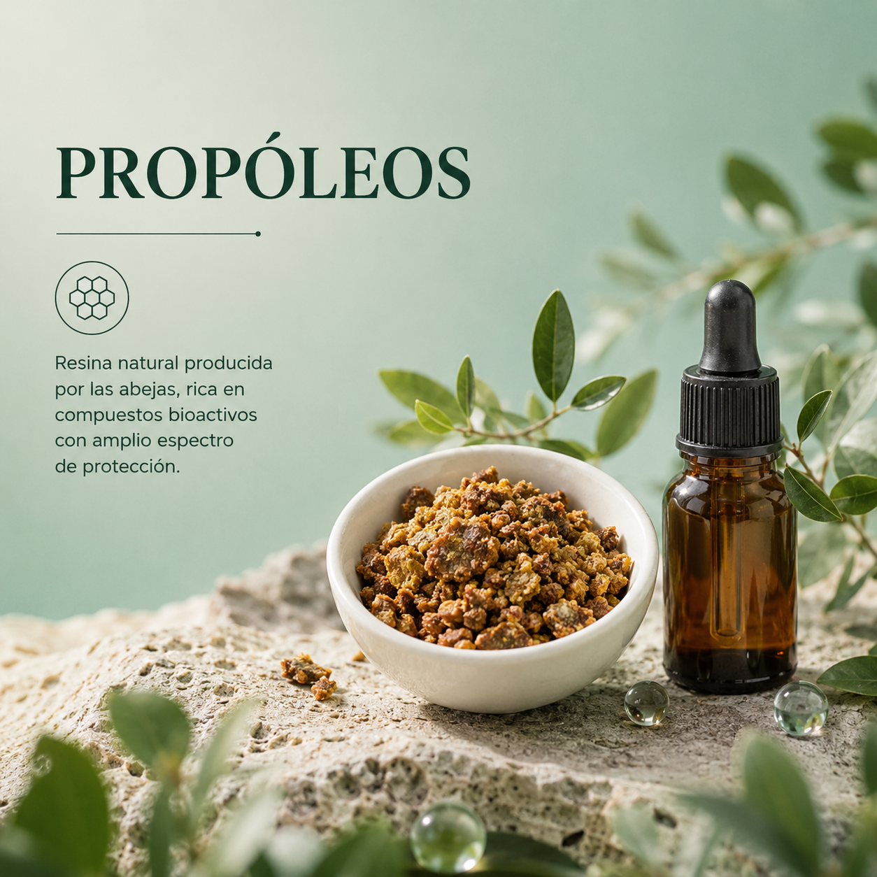 El propóleos es una resina natural producida por las abejas a partir de exudados vegetales, flores y yemas de árboles,<br />
enriquecida con cera y enzimas propias de la colmena. Rico en polifenoles, flavonoides y ácidos fenólicos, es uno de los<br />
compuestos naturales con mayor espectro de actividad biológica documentada.