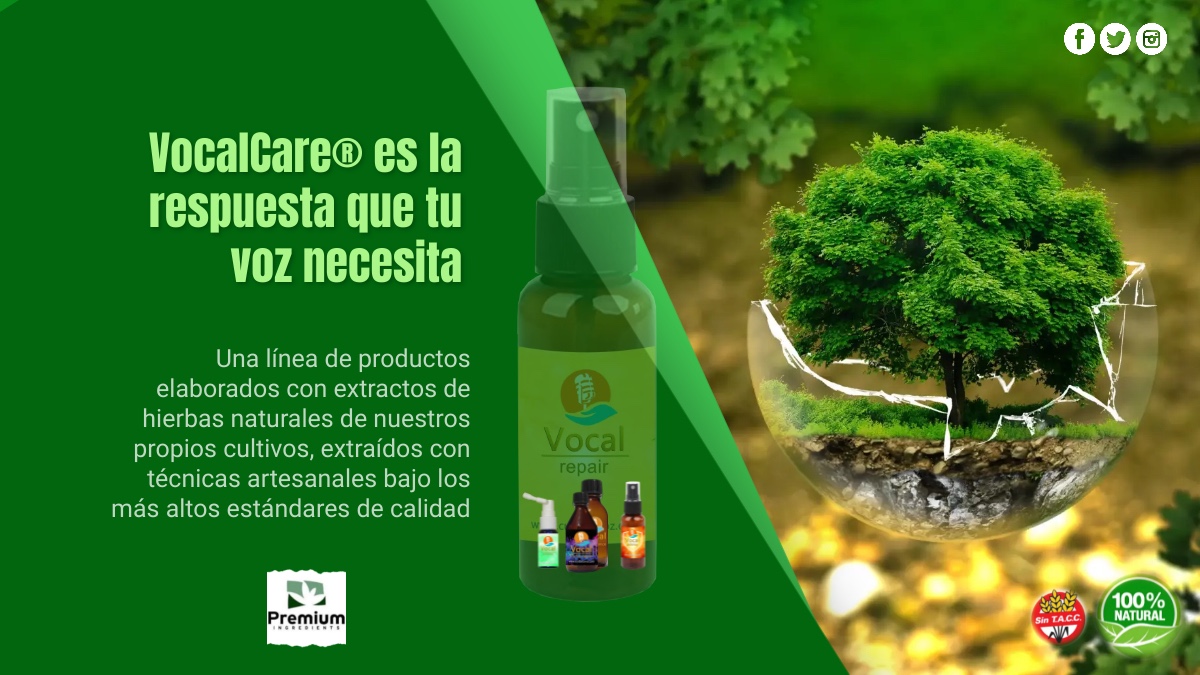 Linea de Productos